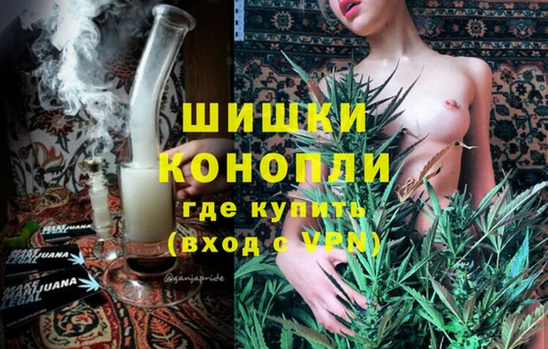 твердый Володарск