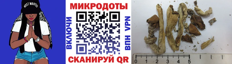 Купить где  Новоульяновск  Псилоцибиновые грибы мухоморы 